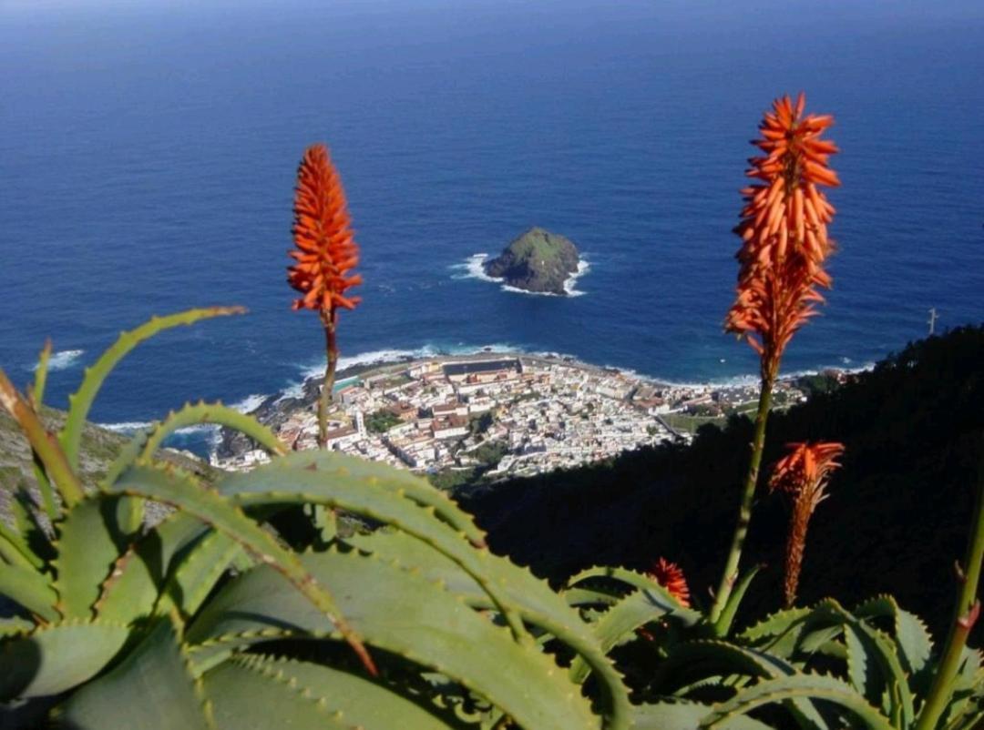 Apartamento Playa San Marcos Icod De Los Vinos Rom bilde